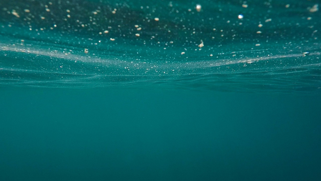 eau de mer