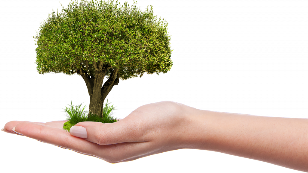 impact de la mode sur l'écologie